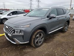 Salvage cars for sale at Elgin, IL auction: 2022 Hyundai Santa FE SEL