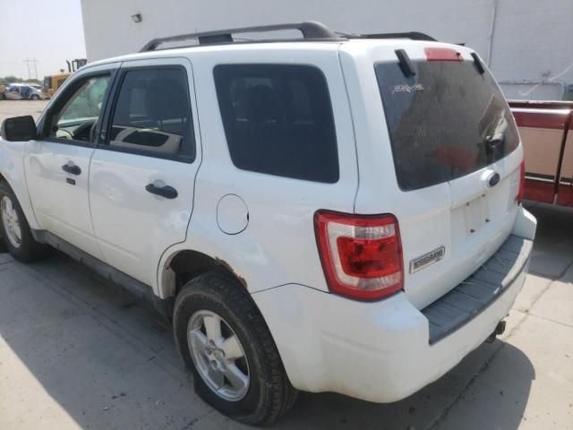 2010 Ford Escape XLT