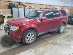 Salvage cars for sale at Kincheloe, MI auction: 2010 Ford Escape Limited