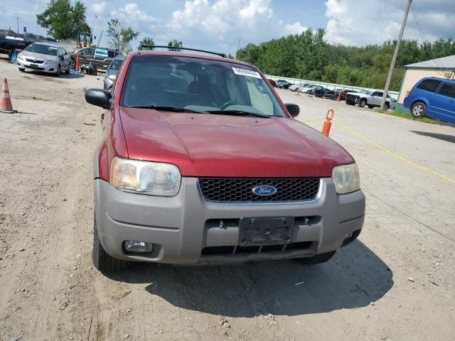 2001 Ford Escape XLT