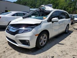 Honda salvage cars for sale: 2019 Honda Odyssey EXL