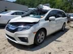 2019 Honda Odyssey EXL