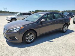 2017 Hyundai Sonata SE en venta en Anderson, CA