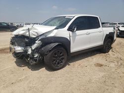 Salvage cars for sale from Copart Amarillo, TX: 2023 Honda Ridgeline Black Edition