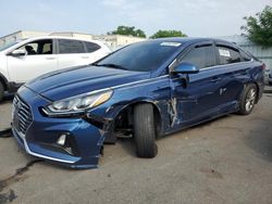 Salvage cars for sale at New Britain, CT auction: 2019 Hyundai Sonata SE