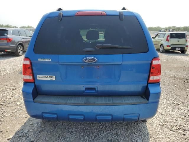 2011 Ford Escape XLT