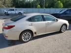 2013 Lexus ES 300H