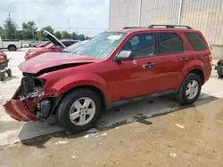 Ford salvage cars for sale: 2011 Ford Escape XLT