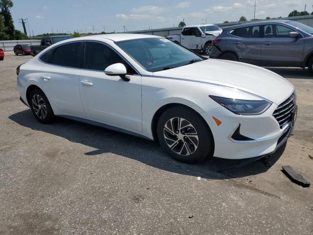 2021 Hyundai Sonata Hybrid