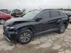 2024 Hyundai Tucson Blue