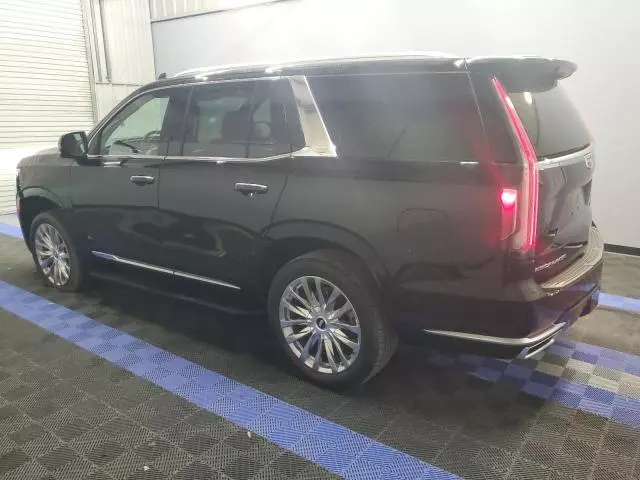 2024 Cadillac Escalade Premium Luxury