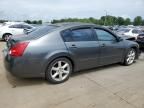 2006 Nissan Maxima SE