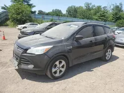 Ford Vehiculos salvage en venta: 2014 Ford Escape SE