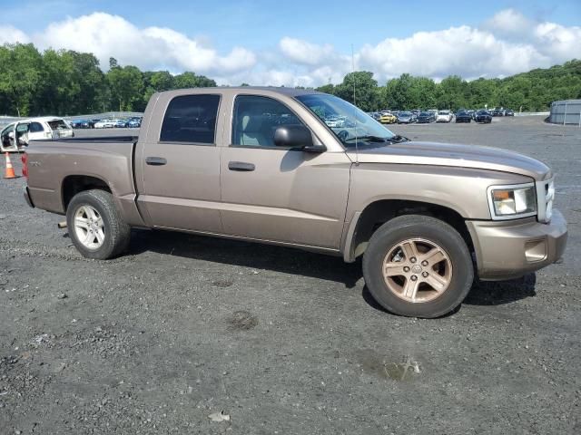 2010 Dodge Dakota SXT