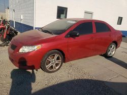 Toyota Vehiculos salvage en venta: 2010 Toyota Corolla Base