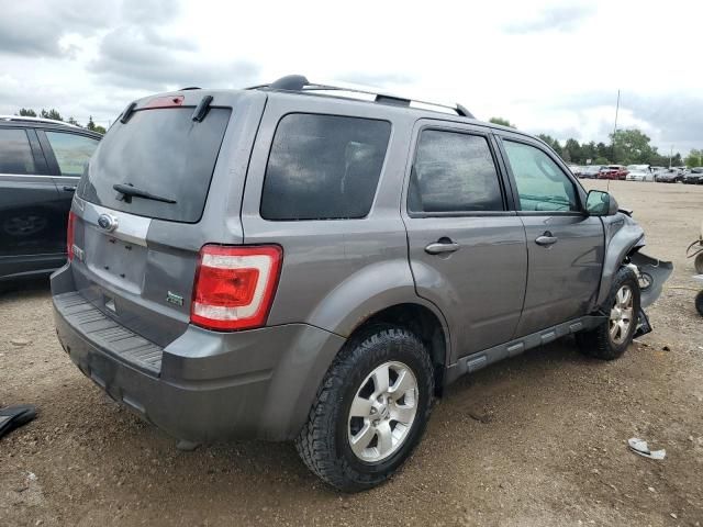 2010 Ford Escape Limited