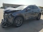 2024 Lexus NX 350H Base