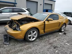 Salvage cars for sale at Earlington, KY auction: 2010 Ford Mustang GT