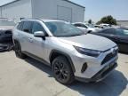 2024 Toyota Rav4 SE