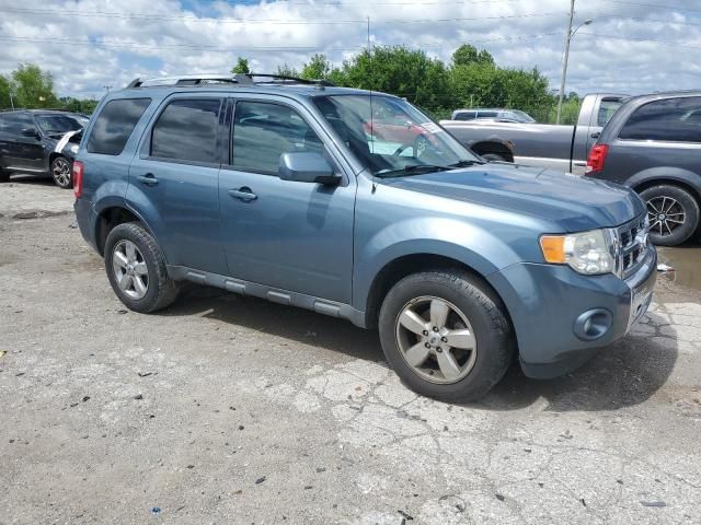 2011 Ford Escape Limited