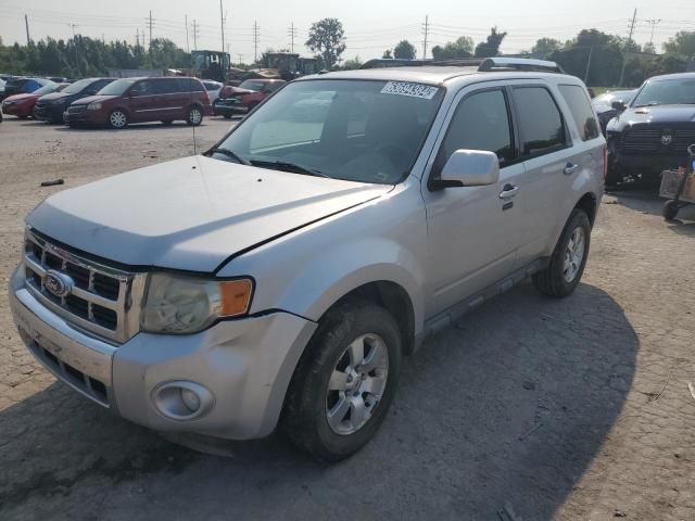 2010 Ford Escape Limited