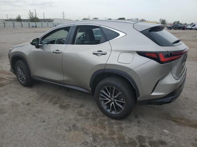 2024 Lexus NX 250 Base