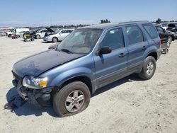 Ford Escape Vehiculos salvage en venta: 2005 Ford Escape XLS