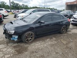 Salvage cars for sale at Fort Wayne, IN auction: 2017 Subaru WRX STI Limited