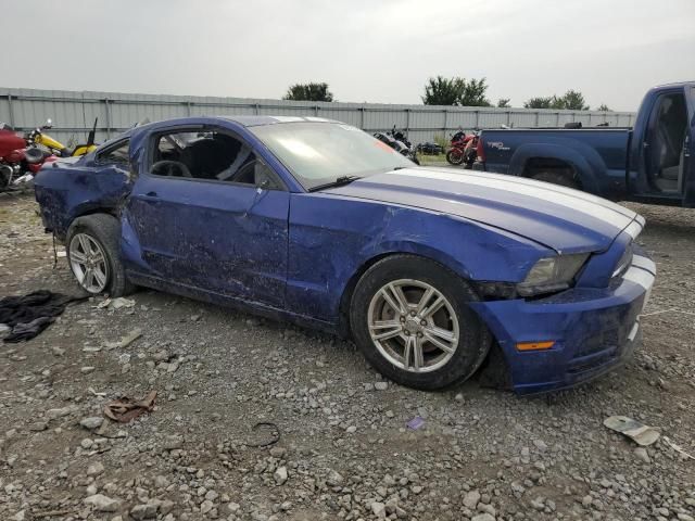 2013 Ford Mustang