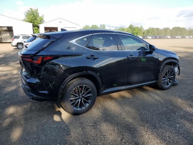 2023 Lexus NX 350H