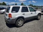 2005 Ford Escape XLT