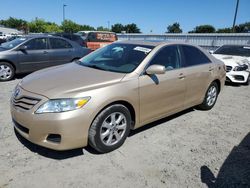 Toyota salvage cars for sale: 2010 Toyota Camry Base