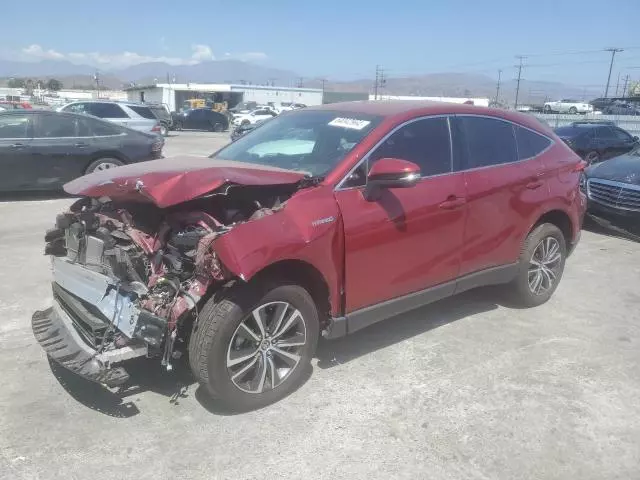 2021 Toyota Venza LE