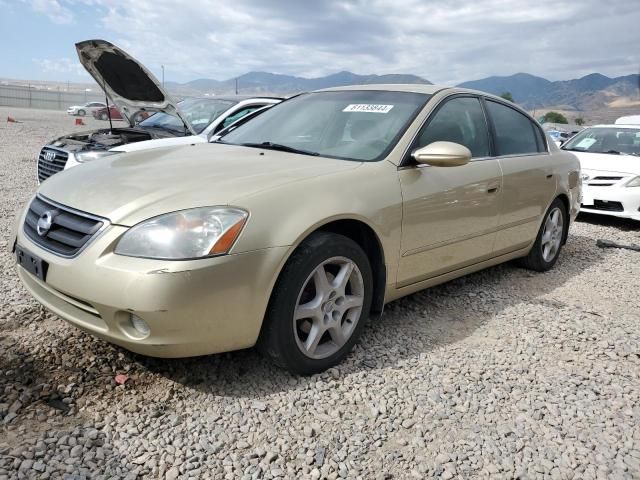 2002 Nissan Altima SE