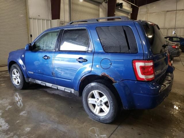 2008 Ford Escape HEV