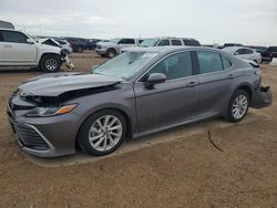 Salvage cars for sale from Copart Amarillo, TX: 2021 Toyota Camry LE