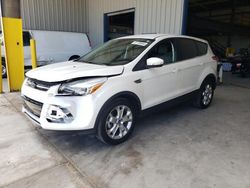 Salvage cars for sale at Tucson, AZ auction: 2013 Ford Escape SEL