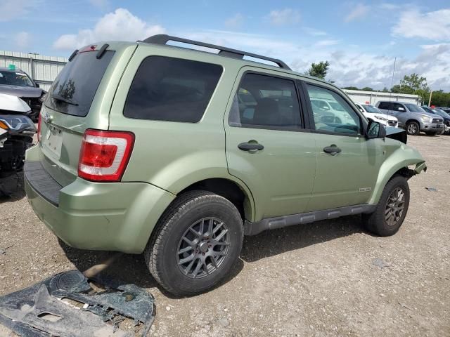 2008 Ford Escape XLT