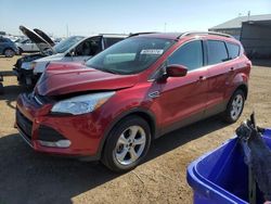 Salvage cars for sale at Brighton, CO auction: 2015 Ford Escape SE