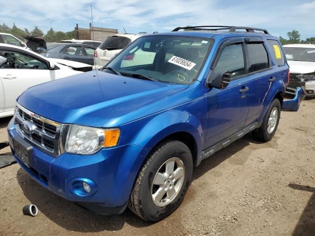 2011 Ford Escape XLT