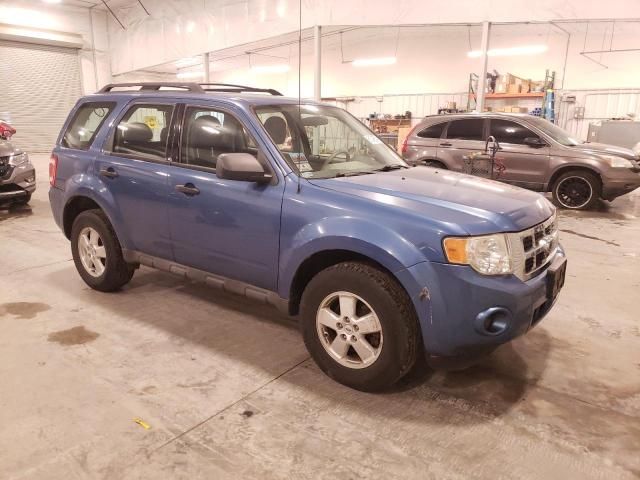 2009 Ford Escape XLS