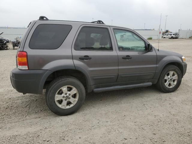 2006 Ford Escape XLT