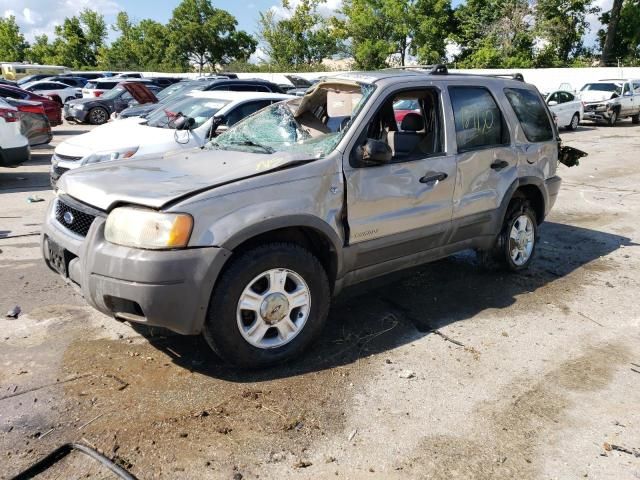 2001 Ford Escape XLT