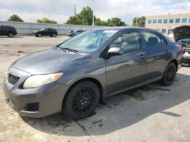 2010 Toyota Corolla Base