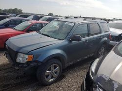 Ford salvage cars for sale: 2012 Ford Escape XLT