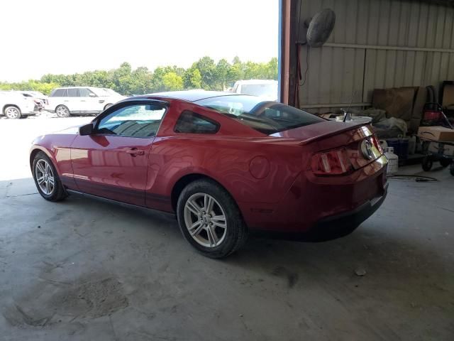 2010 Ford Mustang