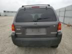 2006 Ford Escape XLT