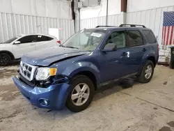 Salvage cars for sale at Franklin, WI auction: 2009 Ford Escape XLT