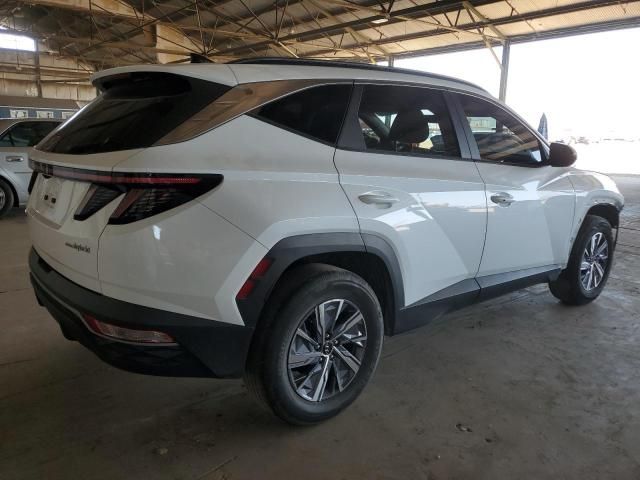 2022 Hyundai Tucson Blue