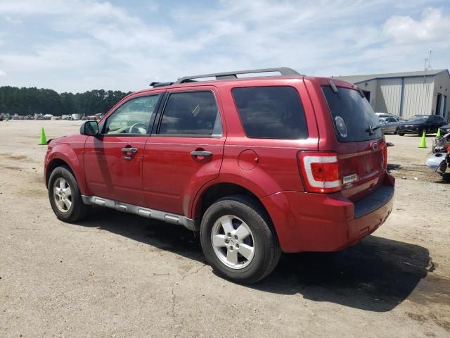 2010 Ford Escape XLT